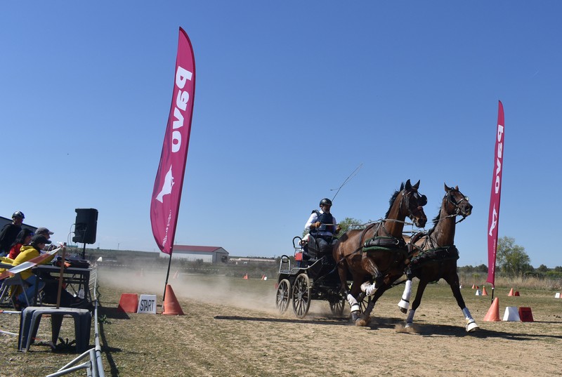 Emoción a las riendas